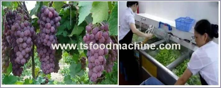 Central Kitchen Use Fruit Ultrasonic Cleaning Machine for Sale