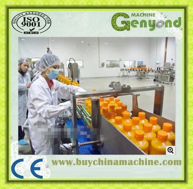 Juice Production Line Extractor Juicer Sterilizer Filling and Packing