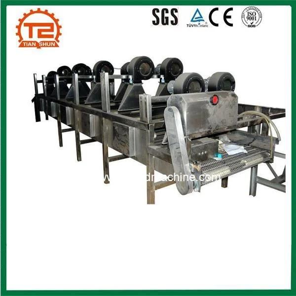 Industrial Food Drying Equipment Continuous Mesh Belt Seafood Air Dryer