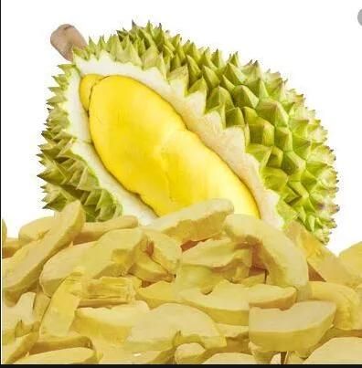 Durian Freeze Drying Machine Durian Freeze Dryer