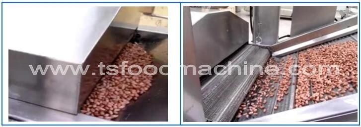 Fish Ball Meat Ball and Seasoned Shredded Squid Fryer Frying Machine