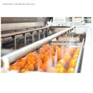 Beverage Application Automatic Fruit Tomato Paste Sterilization Machine Production Line