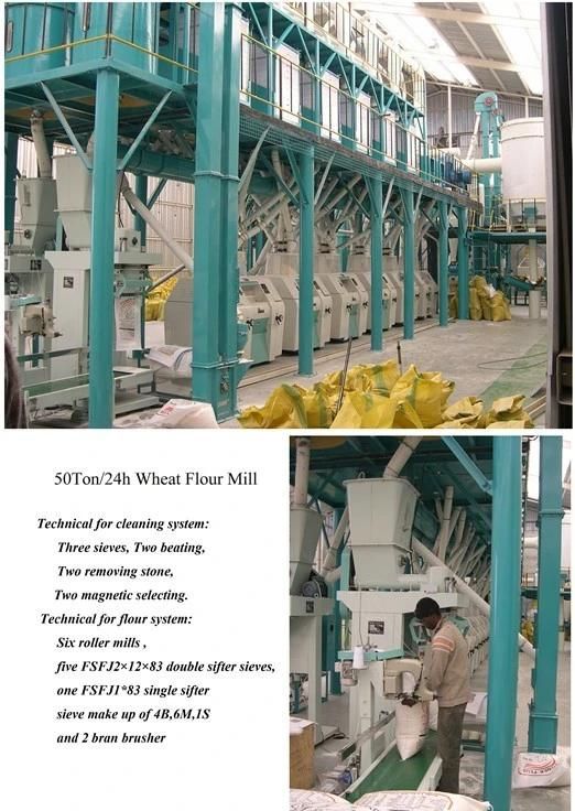 50t/24h Wheat Flour Milling Machine Flour Grinder for Africa Market