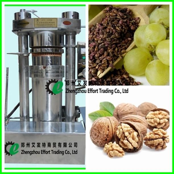 Favorable Price SS304 Sesame Oil Press, Stainless Steel Sesame Oil Press