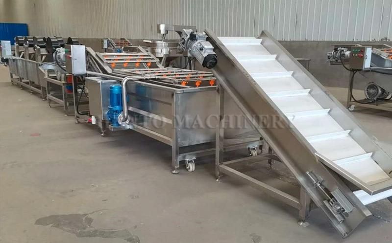 Professional Supplier Dry Freezing Fruit and Vegetable Production Line