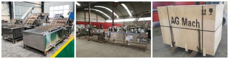 Leaf Vegetable Washer Washing Processing Line Fruits Washing Machine