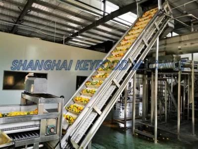 Complete Tunkey Project Juice Making Machine/Juice Production Line