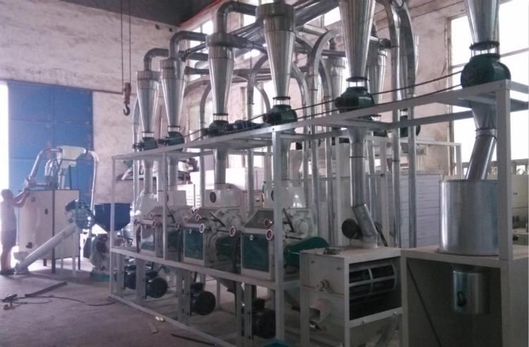 Corn Germ Separation Machine