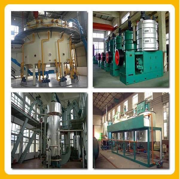 60t/D Pumpkin Seed Oil Press Machine, Oil Making Equipment.