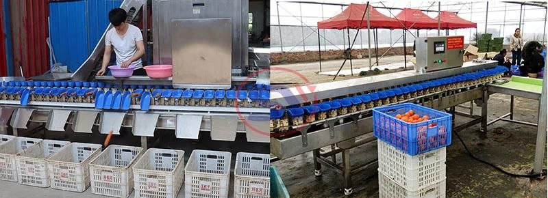 Automatic Vegetable Tomato Potato Cucumber Weight Grading Machine