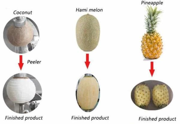 Automatic pineapple and coconut peeling machine