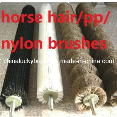 Different Materials Roller Brush for Food and Vegetable Polishing (YY-346)