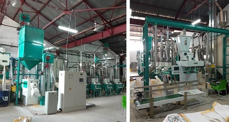 Full Automatic Maize Flour Mill Machine Running in Tanzania