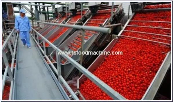 1000kg/H Frozen Strawberry Processing Line