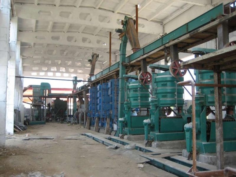 Screw Oil Press Machine Soybean Oil Plant Cottonseeds Oil Expeller