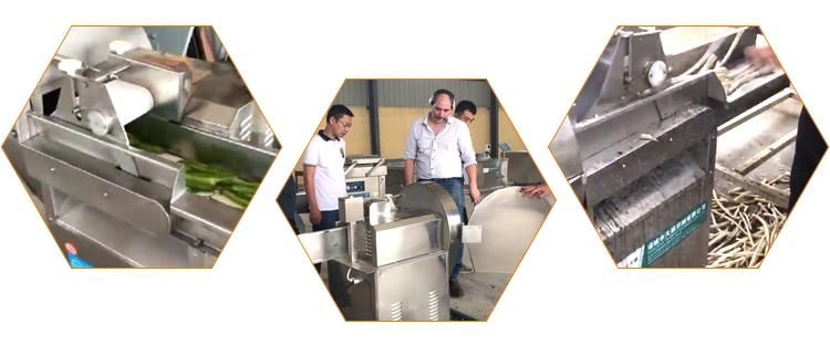 Cutting machine Veget Cutt and Chopp Vegetable Spinach Cutting Machine