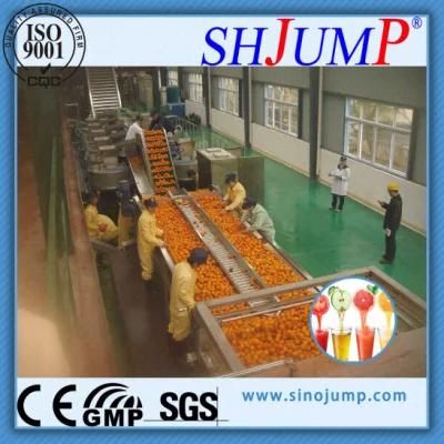 High-Yield and Energy-Saving Orange Juice Full-Line Processing Machine