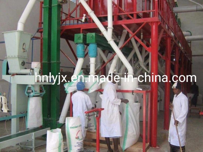 High Output Maize Grits and Flour Mill