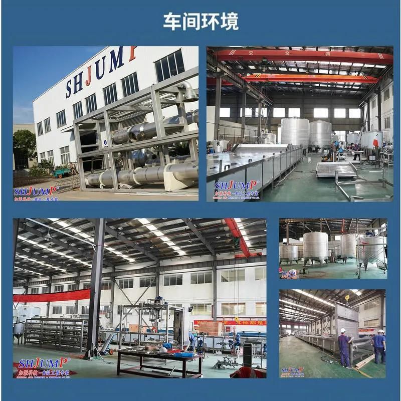 5ton Per Hour Capacity Fruit Pulp Production Line Machine