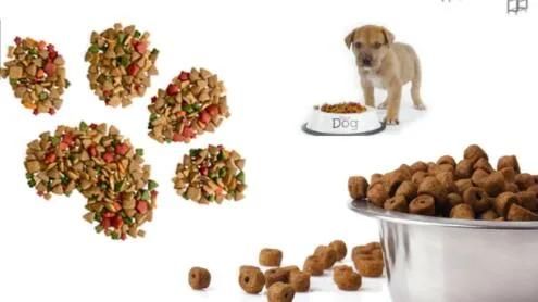 Dry Dog Food Making Machine Pet Dog Food Extruder Price