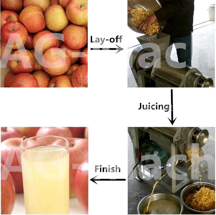 Industrial Cold Press Fruits Juicer Mango Pineapple Juice Extractor Machine