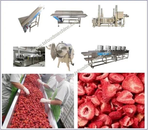 Quick Frozen Strawberry Slice Processing Equipment