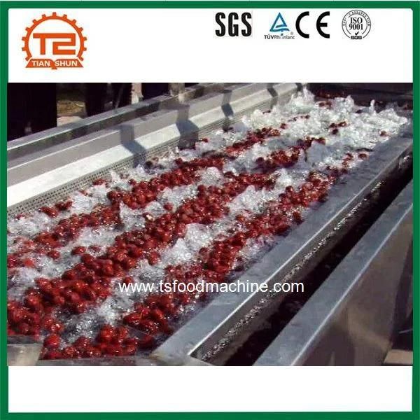 Buy Online High Pressure Bubble Ozone Fruit and Vegetable Washer Machine