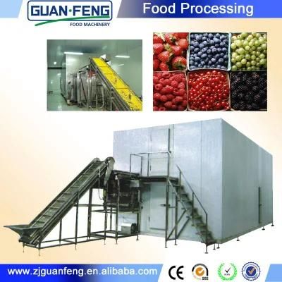 5.0t Large Capacity IQF Freezer for Vegetables Quick Freezing Machine