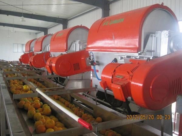 Automatic Mango and Orange Processing Line (2-40TPH)