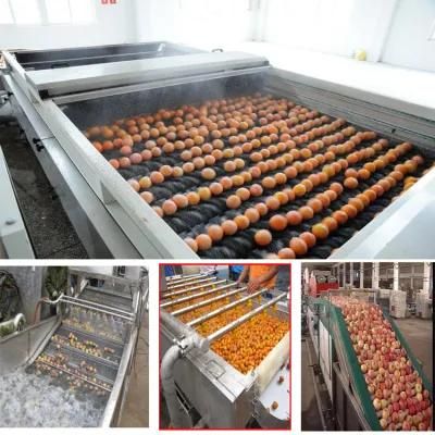 Chinese Suppliers Stainless Steel Automatic Vegetable and Fruit Washing Machine