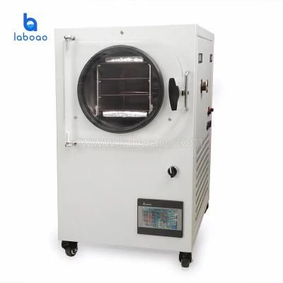 Vacuum Freeze Dryer Household Small Fruit Freeze Dryer