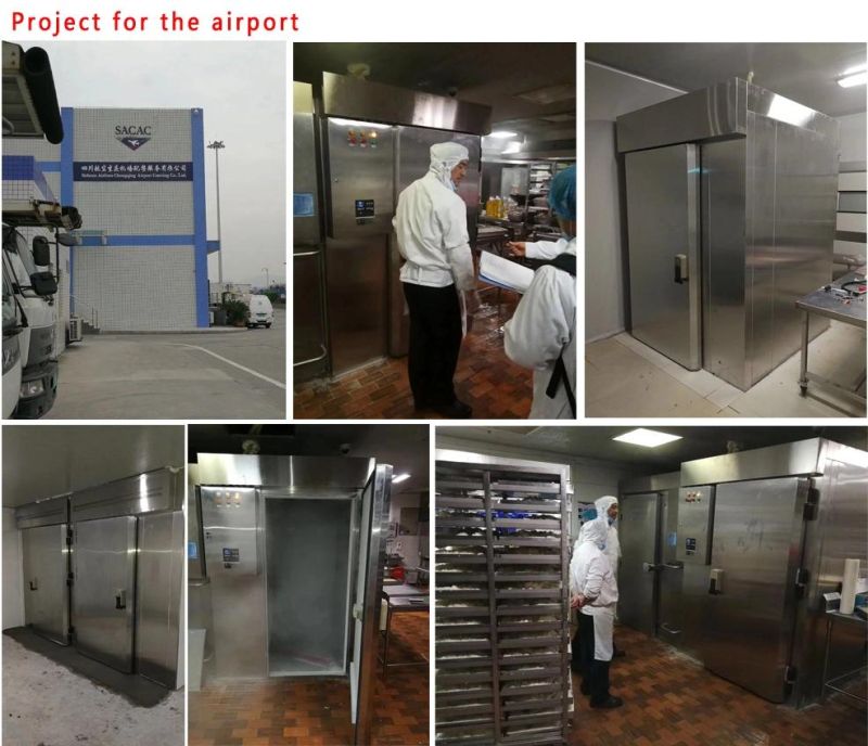 Non-Installation 26 Trays -40 Degree Blast Freezer with Ce (T26-D)