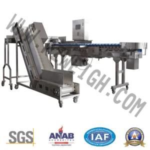 Fj-a-3000g Automatic SUS 304 Weighing Machine