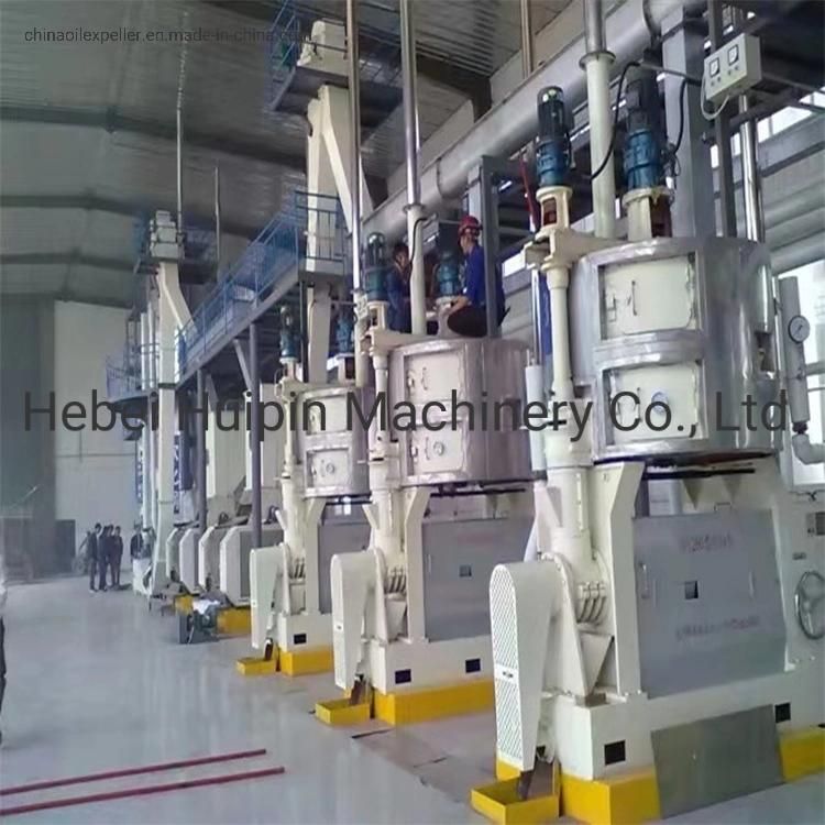 Hot Sell Oil Press Machine for Peanut Sesame Sunflower Seeds