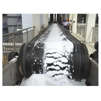 Popular Automatic Sea Salt Processing Line