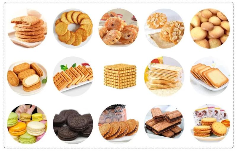 Automatic High Speed Biscuit Machine Animal Biscuit Line for Sale