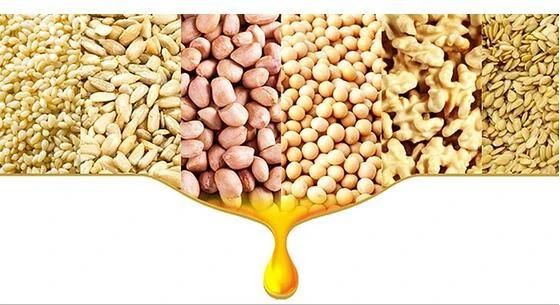 Cotton Seeds Oil Expeller Soybean Sunflower Walnut Hemp Groundnut Oil Mill Making Extraction Press Machine