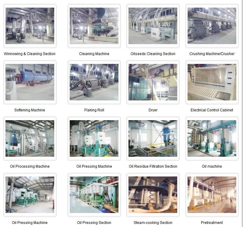 80-200t/D Sunflower/Cottonseed Oil Extract Machine, Oil Refining Production Line.