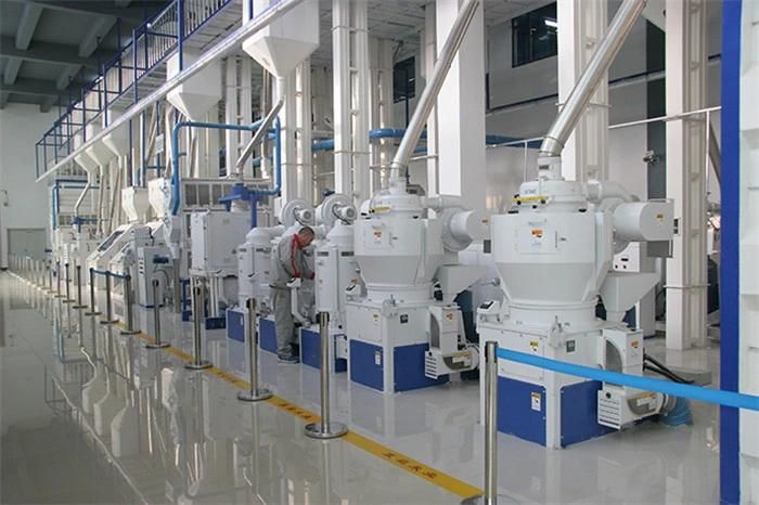 100 Tons Per Day Auto Paddy/Rice Milling Production Line