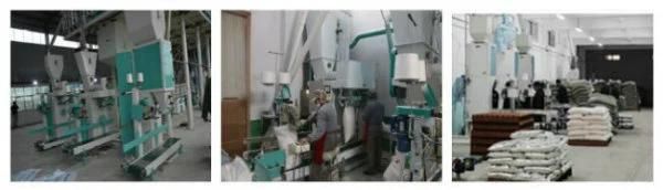 Best Price Automatic Wheat Flour Mill Plant for Bakery Use