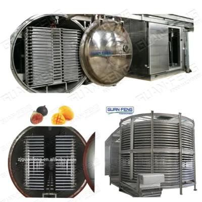 Vacuum Freeze Dryer for Vegetables and Fruits Drying Equipment