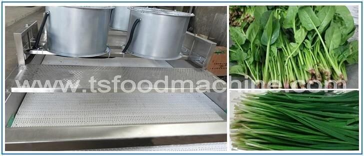 Fruit and Vegetable Drying Machine