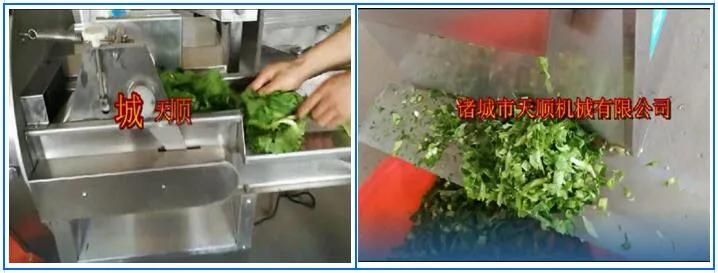 Green Bean Washing Cutting Drying Processing Machine