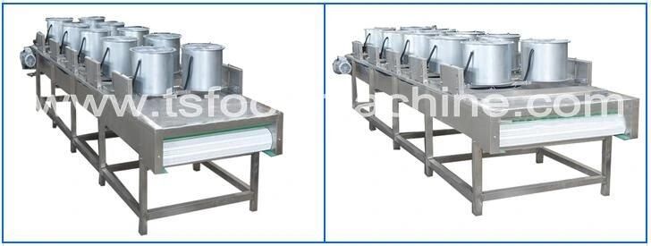 Fruit and Vegetable Drying Machine