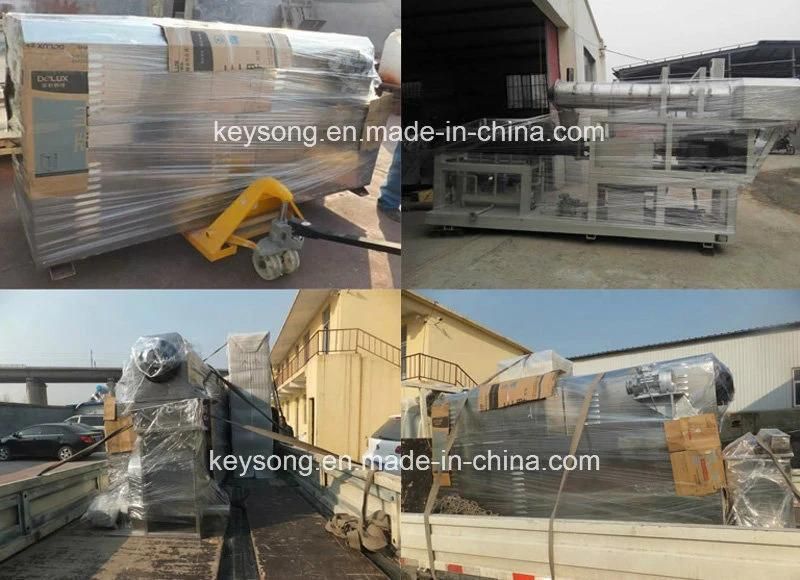 400-500kg/H Twin Screw Extruder/ Twin Screw Extruder for Pellet/Snack Food Extruder