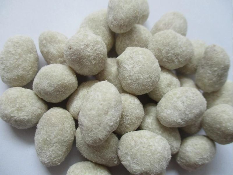 Cashew Nuts Coating Machine