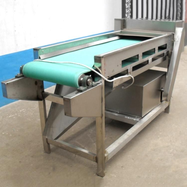 Automatic Mushroom Slicing/Slicer Machine, 500kg/Hour Chanterelle Slicer