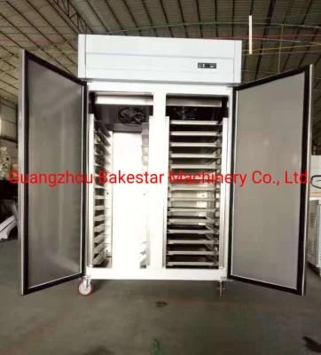 Auto-Defrost Commercial Stainless Steel Kitchen Refrigerator with Two Doors