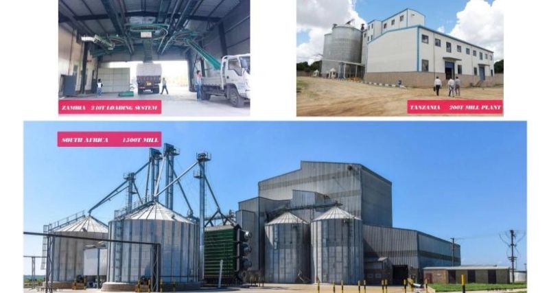 Grain Silo Wheat Maize Silo Bin Galvanized Steel Silos 500tsilo to 3000t Silo