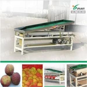 Cherry Tomato Sorting Machine